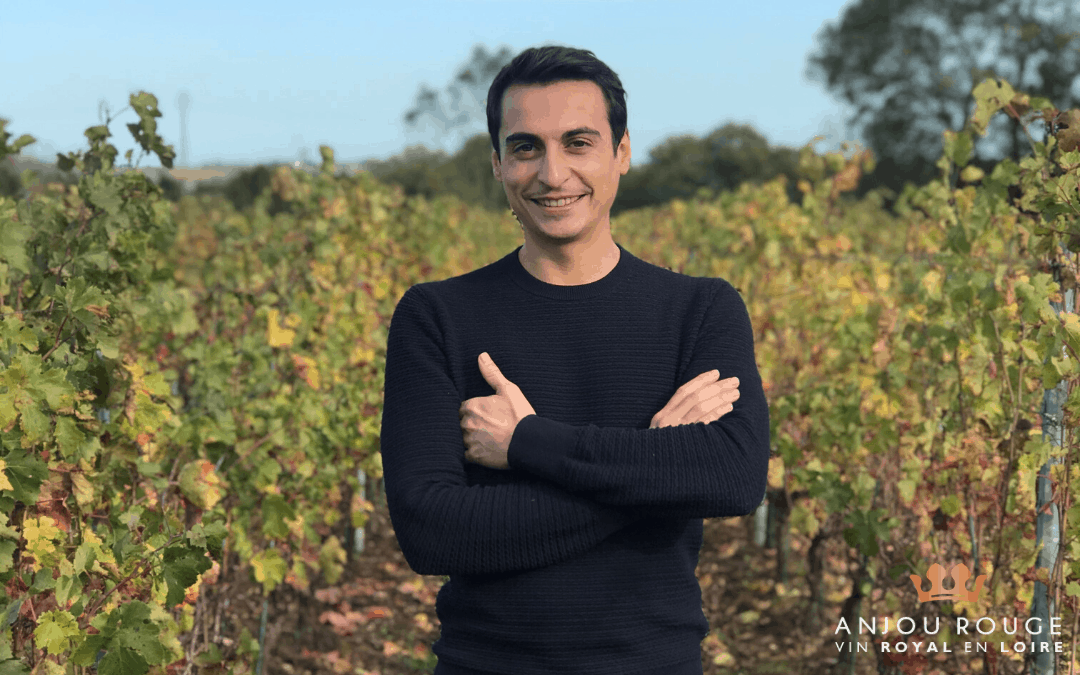 Nouvelle génération : un vent de fraîcheur souffle sur nos rouges de l’Anjou !